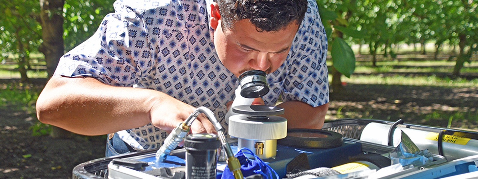Growers use pressure bombs to fine-tune irrigation