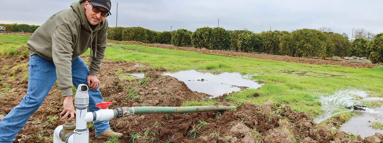 Farmers race to sink water into ground after storms