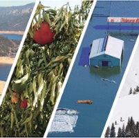 2024 marks a decade of SGMA regulations