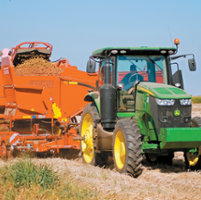 Water and high prices aid California potato farmers