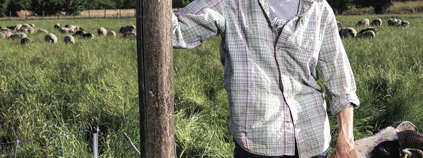 From the Fields: Robin Lynde, ​​​​​​​Solano County sheep rancher