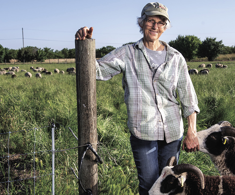 From the Fields: Robin Lynde, Solano County sheep rancher