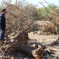 Water rules add to challenges for farmers