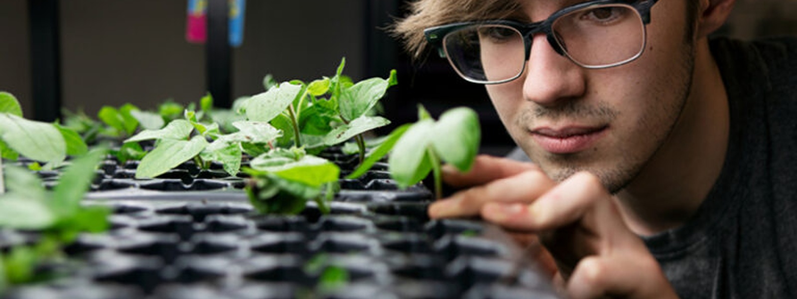 News Briefs: Government shutdown, Ag Alert survey, FFA board, 4-H Week, Barn Dance and 'Build the Bench'