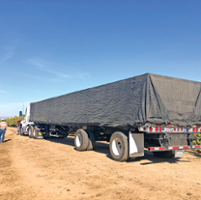 A citrus threat is contained in state but caution urged