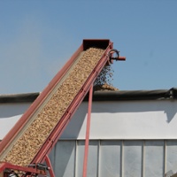 Almond, walnut exports to benefit as India lifts tariffs