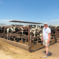 Dairies are returning to work after floods