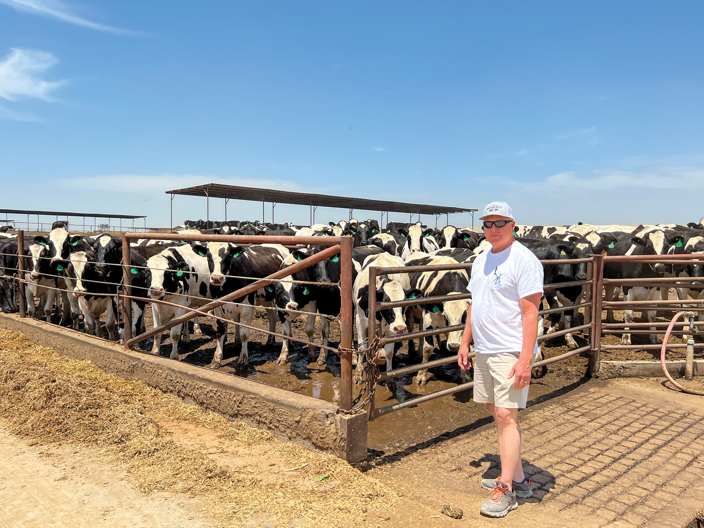 Dairies are returning to work after floods