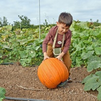 Pumpkin patches fill agritourism niche