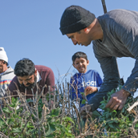 Refugees rekindle farming traditions at urban farm