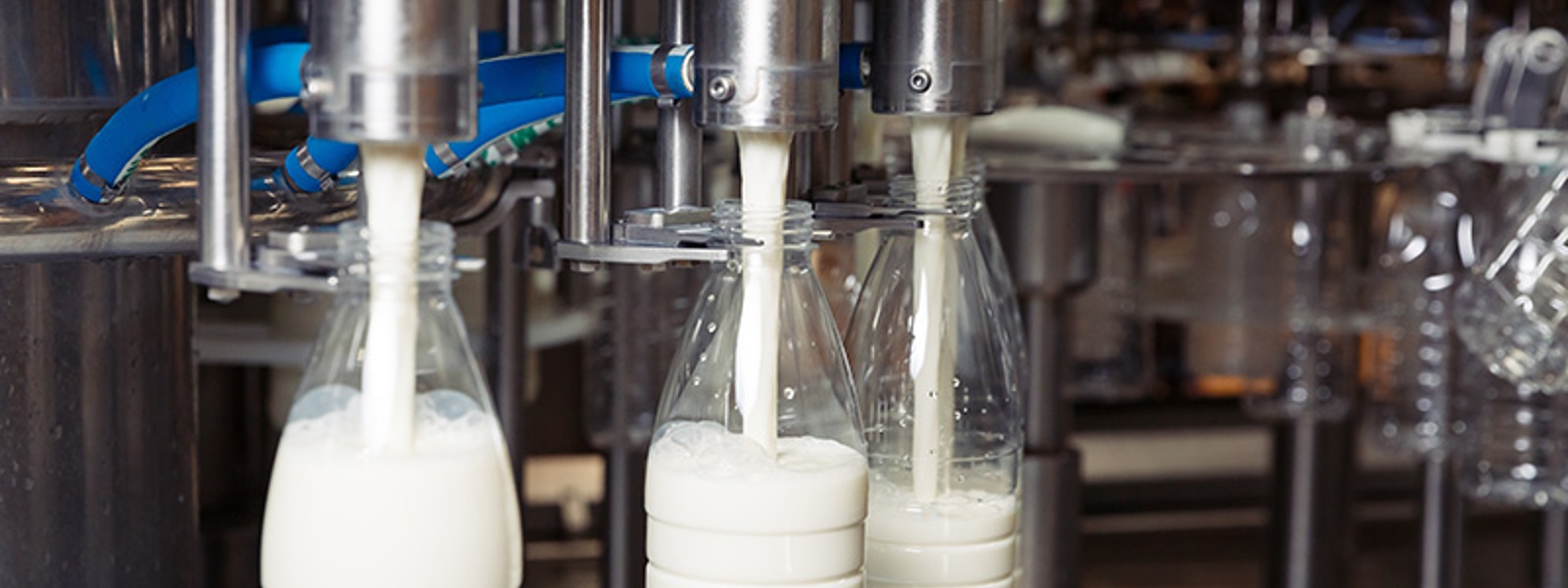 Essential dairy safety net program exposes its limits