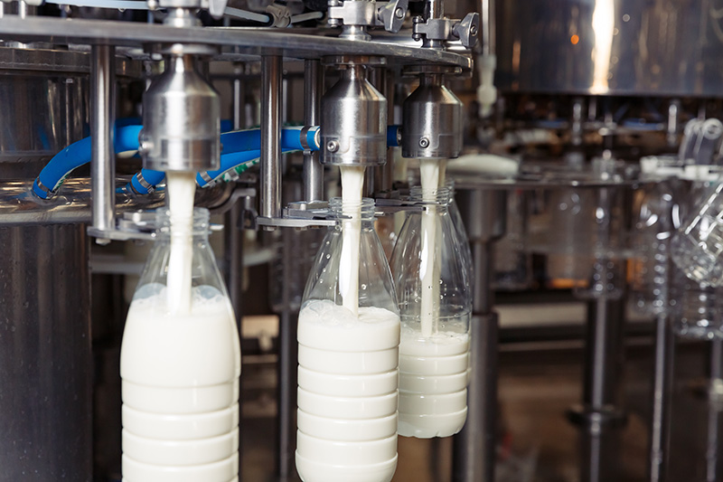 Essential dairy safety net program exposes its limits