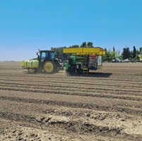 Automated transplanters perform well in field trials