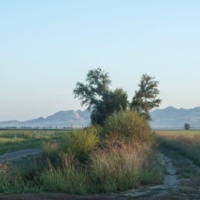 State takes crack at giving meaning to 'regenerative'