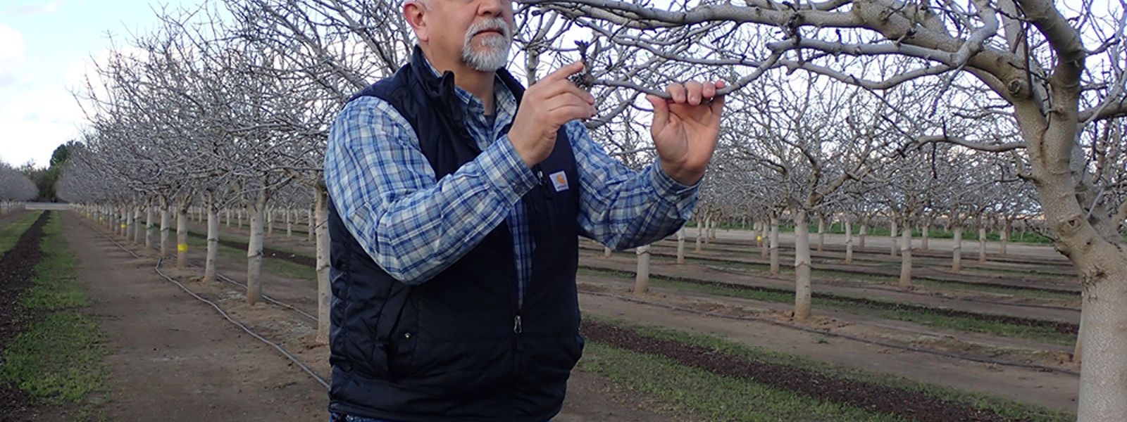 From the Fields: Stephen Vasquez, Tulare County Certified Crop Adviser&nbsp;