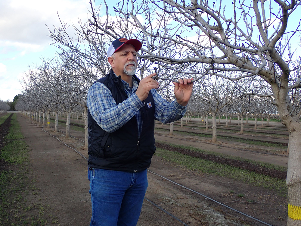 From the Fields: Stephen Vasquez, Tulare County Certified Crop Adviser