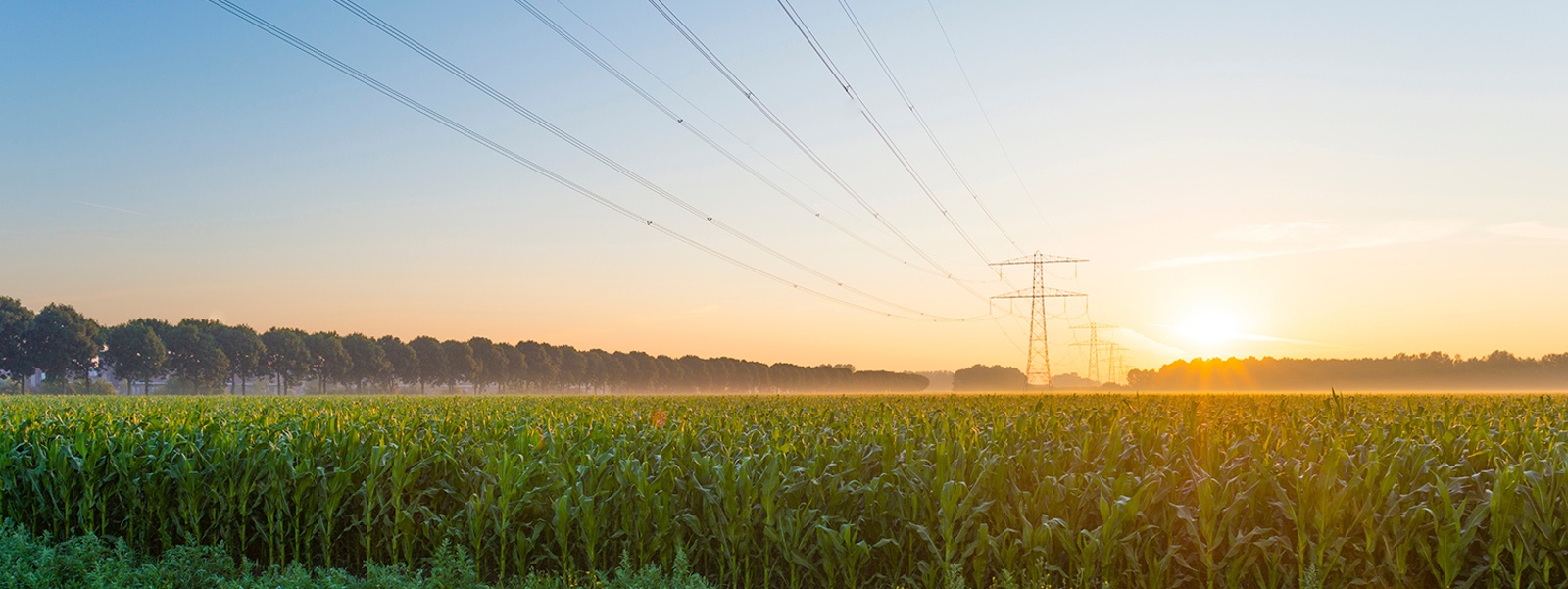 California Farm Bureau: Advocacy in Action