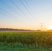 California Farm Bureau: Advocacy in Action