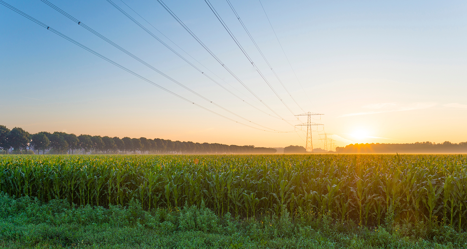 California Farm Bureau: Advocacy in Action