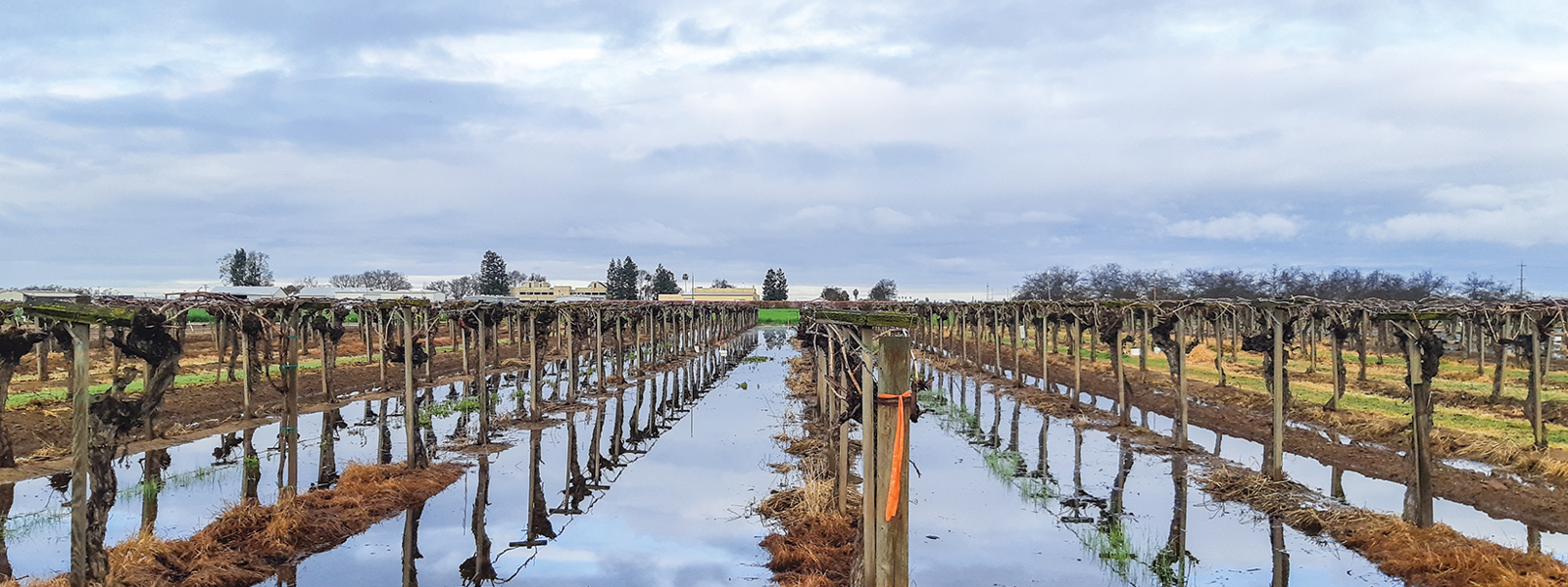 Commentary: How managing flood flows can help rescue aquifers