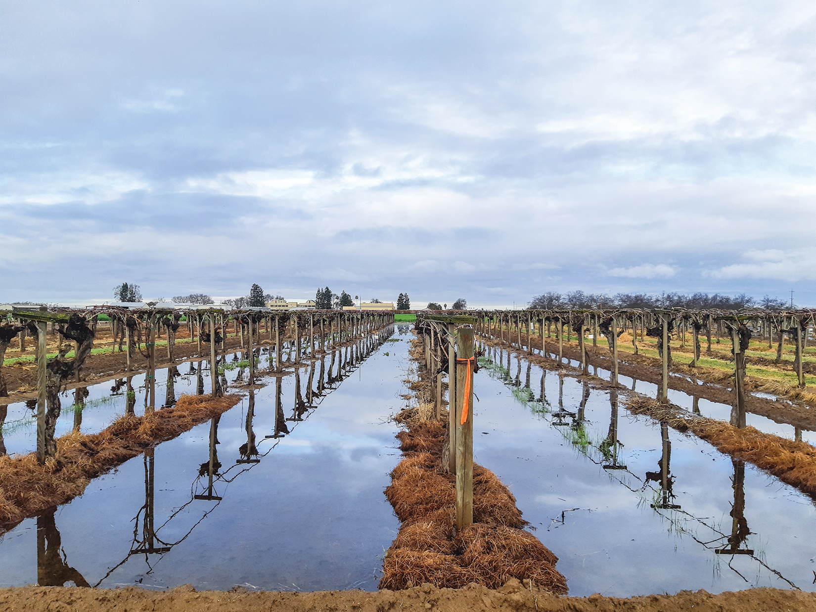 Commentary: How managing flood flows can help rescue aquifers