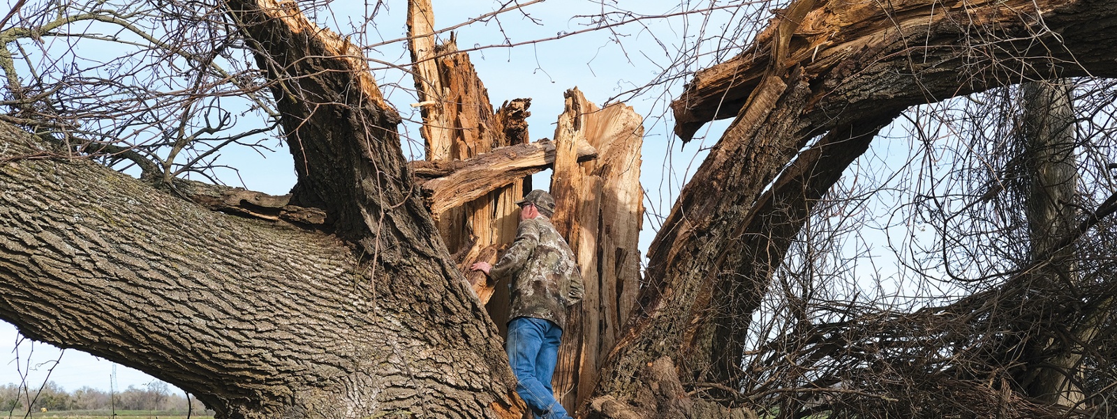 Storms bring water and havoc to farms