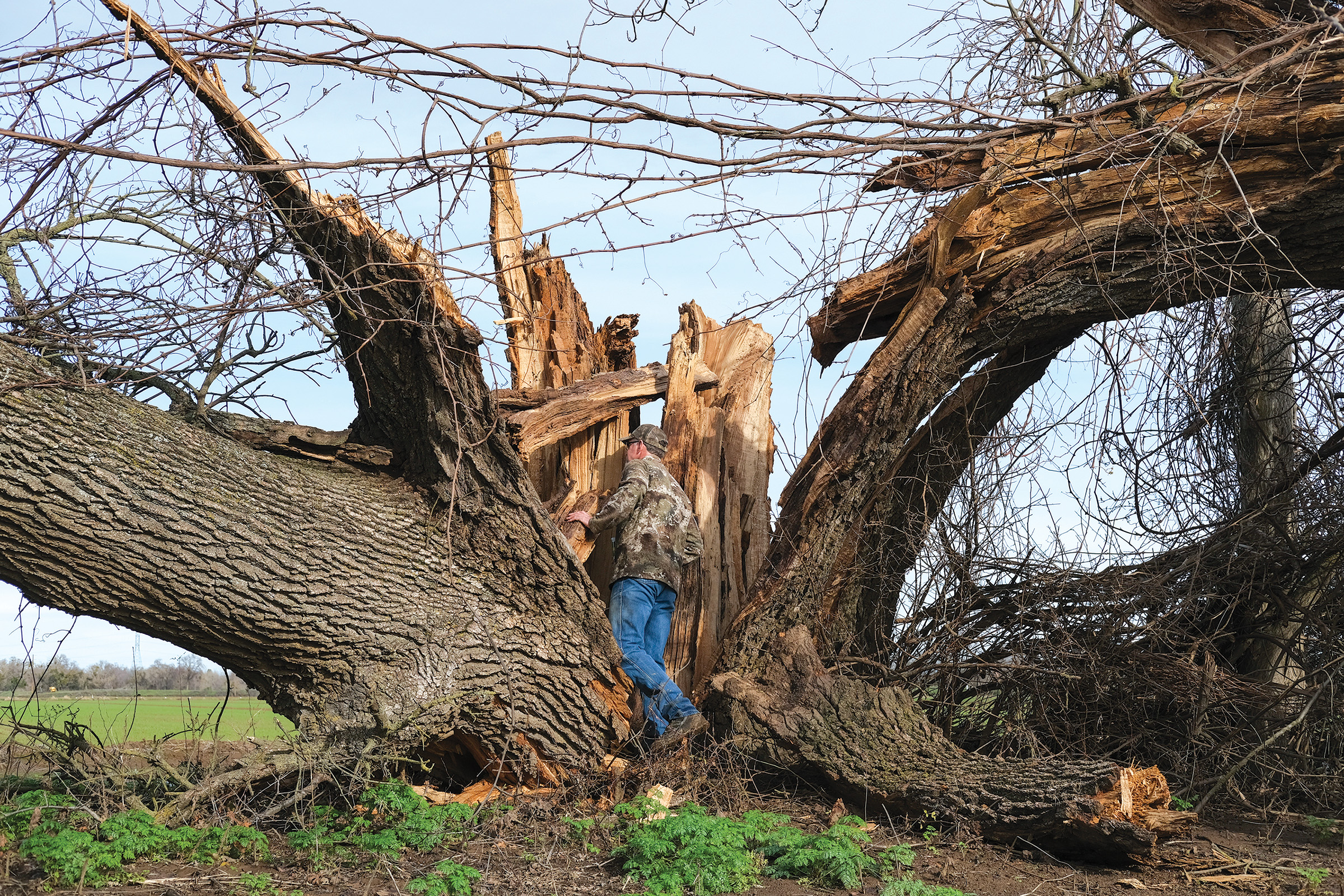 Storms bring water and havoc to farms