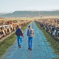 A craving for ice cream leads to a dairy partnership