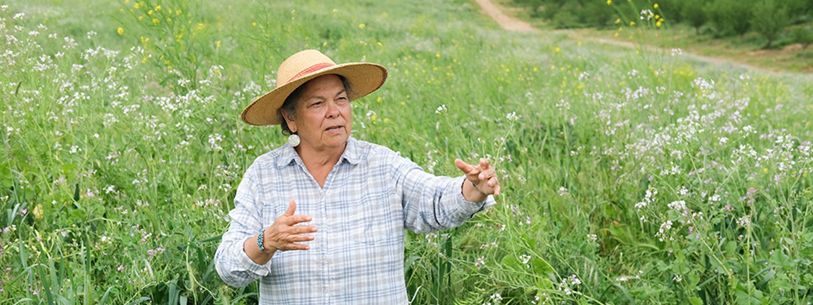 Groundwater law begins reshaping valley