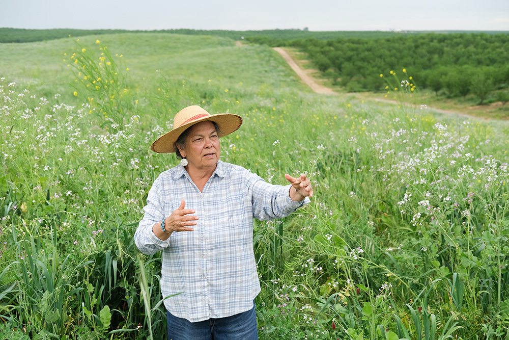 Groundwater law begins reshaping valley