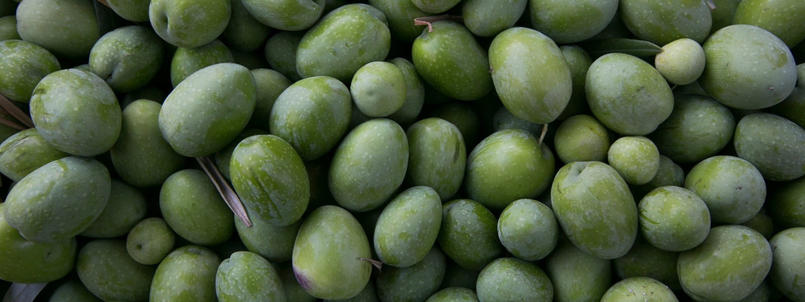 U.S. keeps tariffs on Spanish ripe olives after WTO ruling