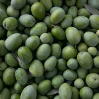 U.S. keeps tariffs on Spanish ripe olives after WTO ruling