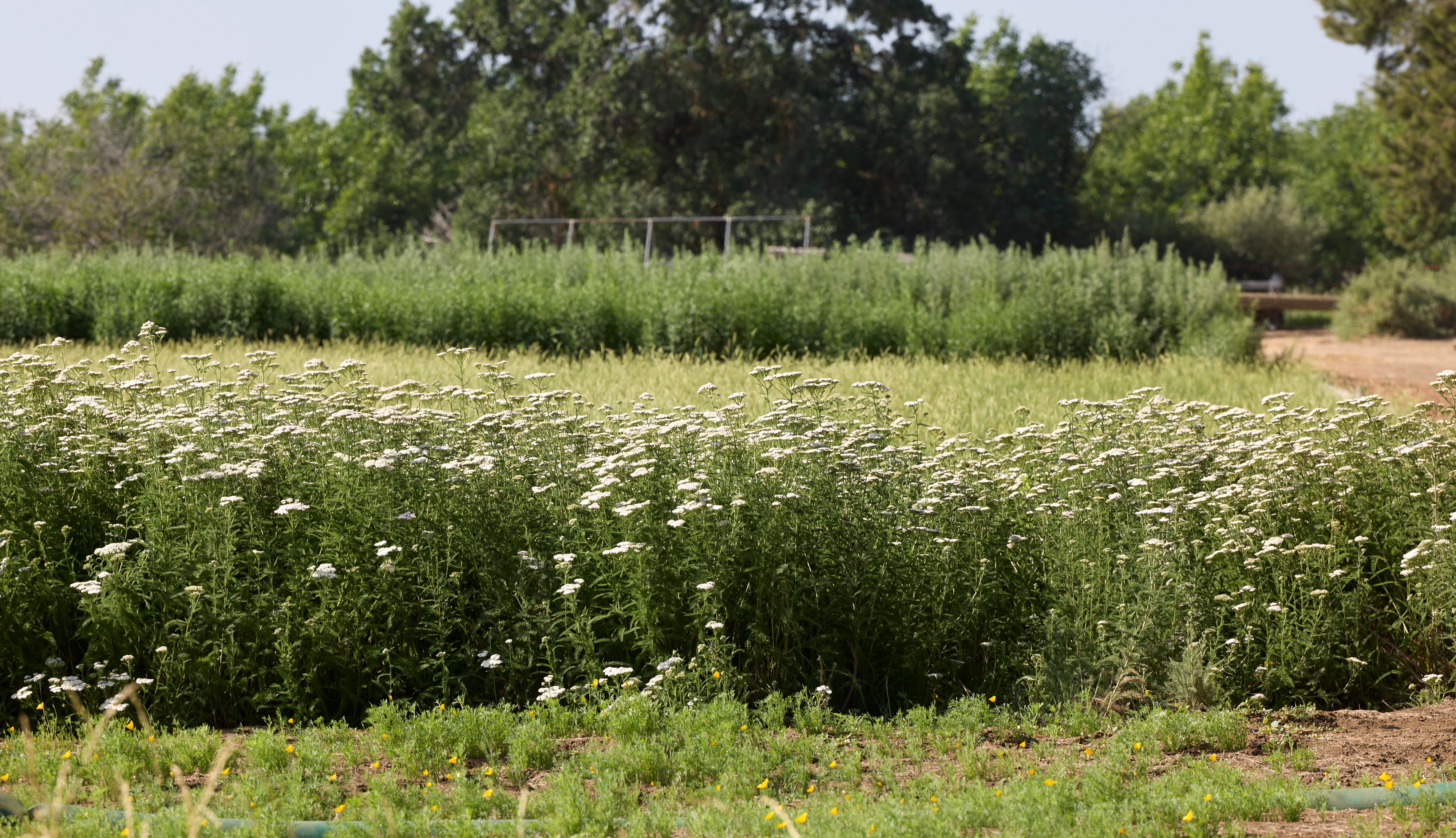 Commentary: Cooperation is a must to help farms, environment