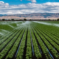 Water, farm bill drive talks at food and agricultural summit