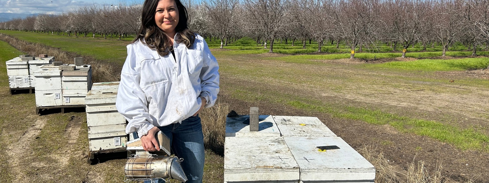 From the Fields: Alexis Harvey, Solano County beekeeper