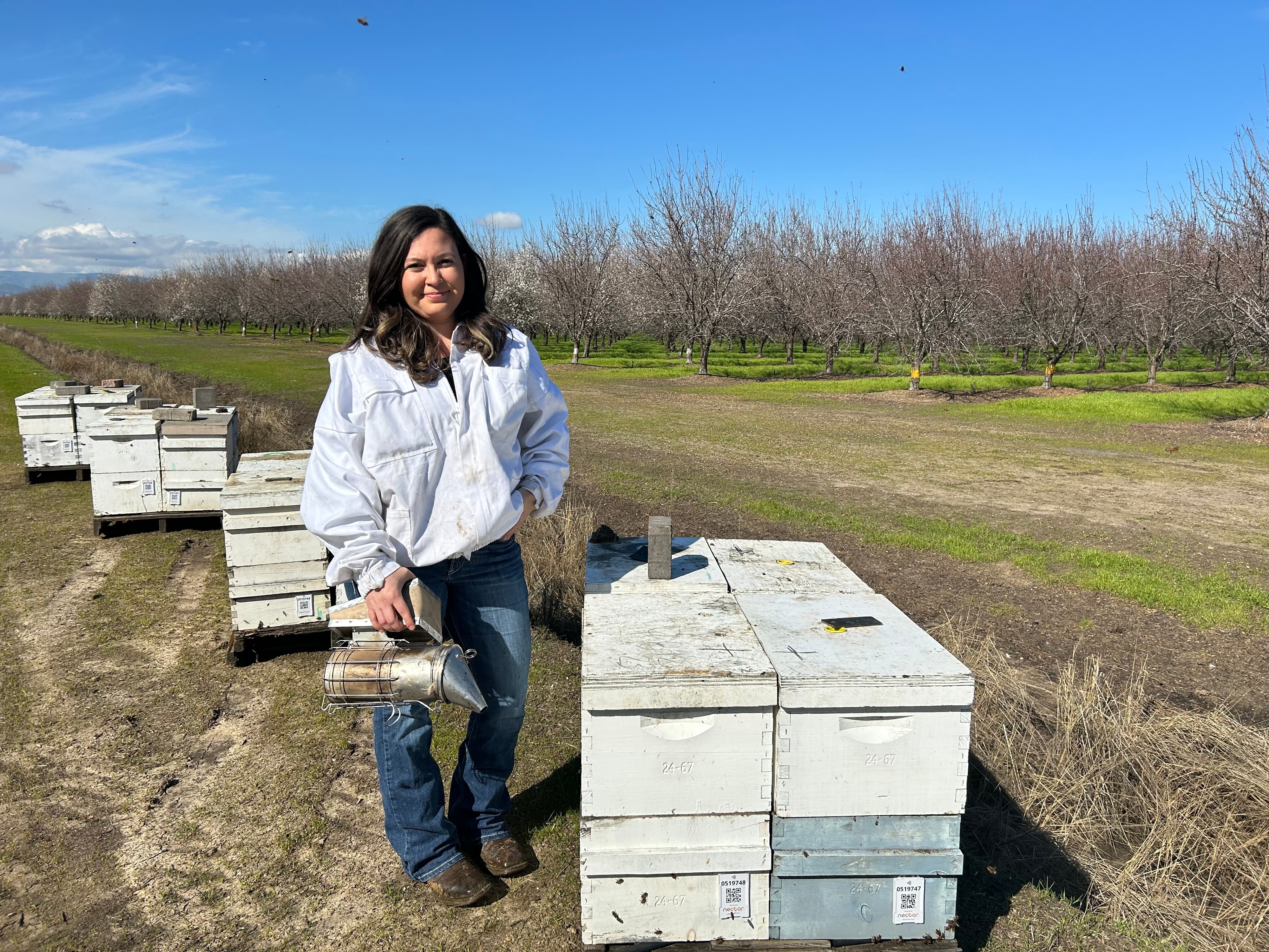 From the Fields: Alexis Harvey, Solano County beekeeper