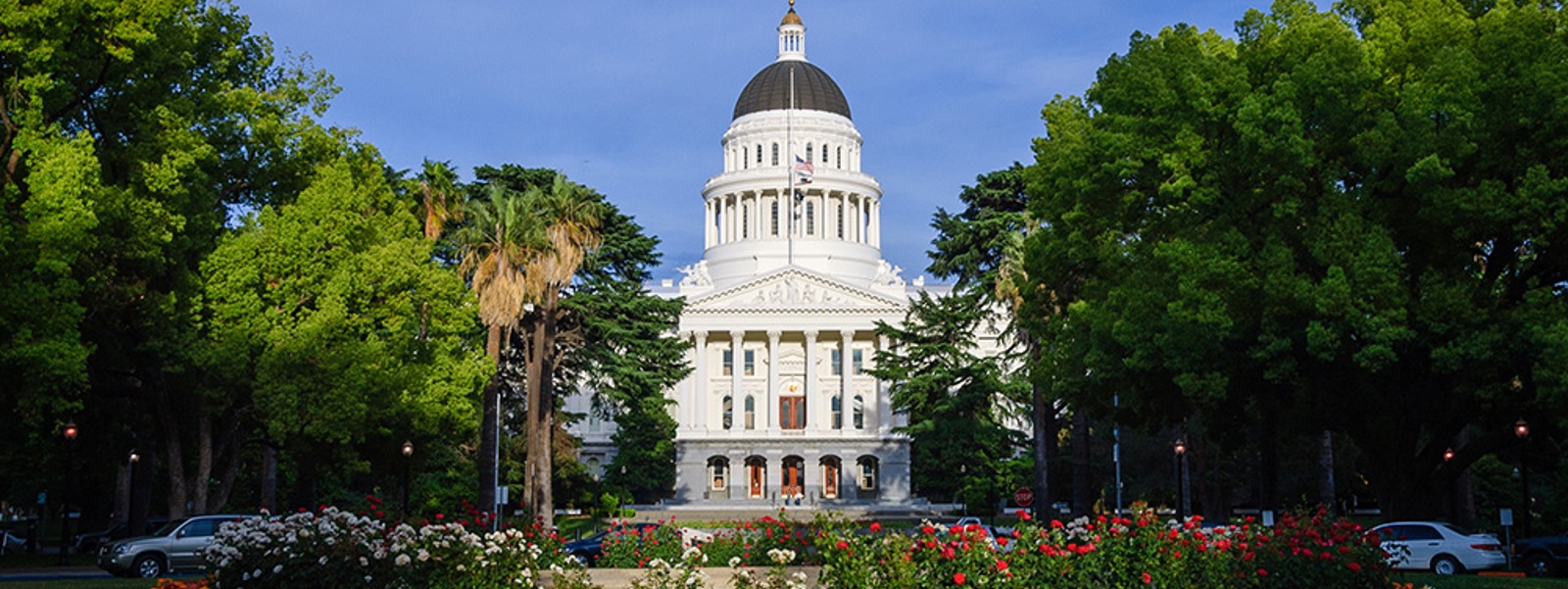 Advocacy in Action: Legislation, diesel and wolves