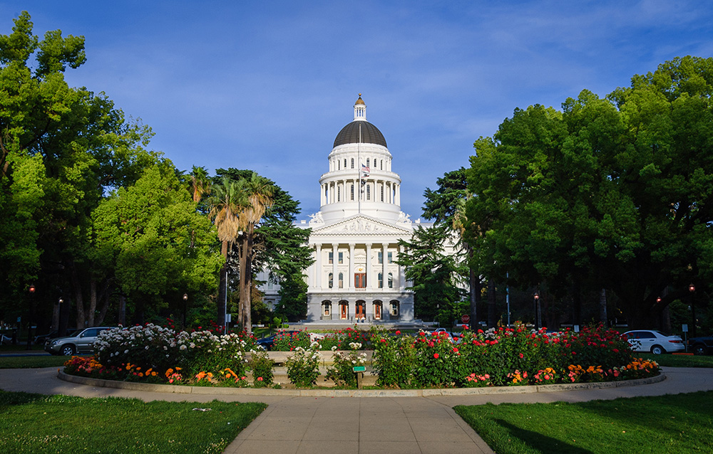 Advocacy in Action: Legislation, diesel and wolves
