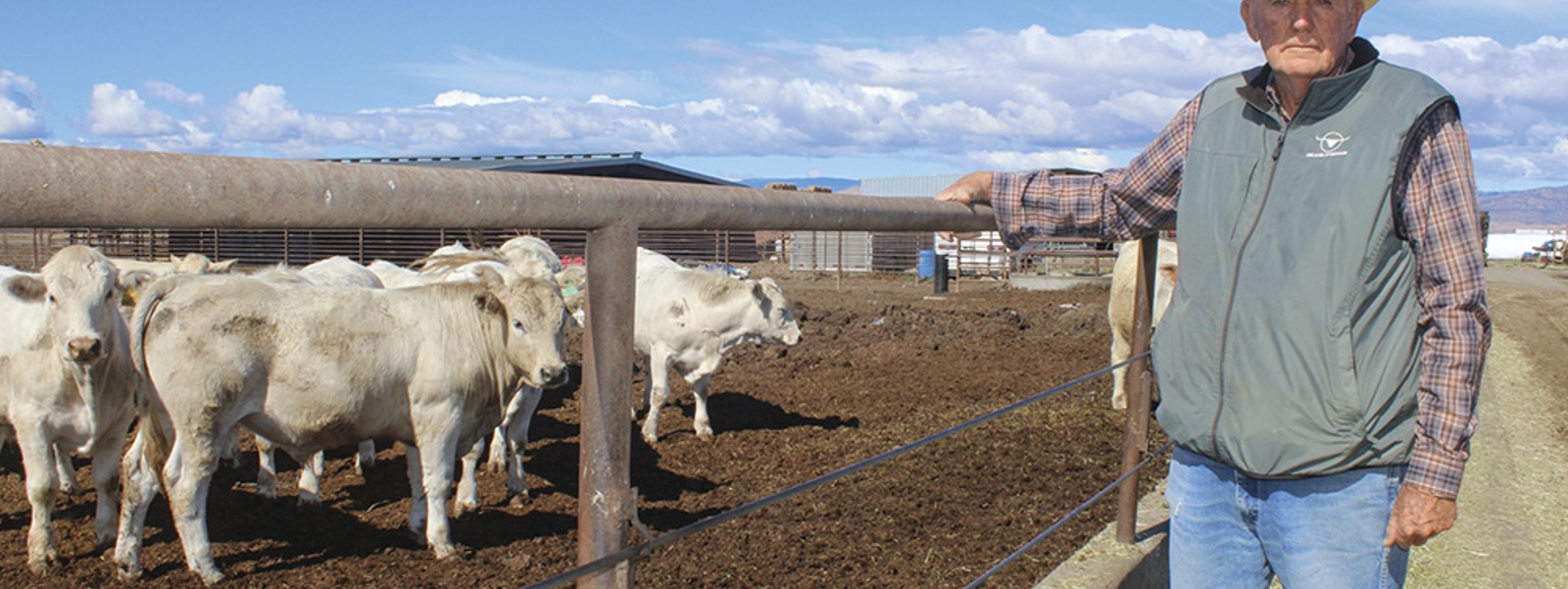 From the Fields: Jerry Maltby, Colusa County rancher, feedlot operator and rice farmer