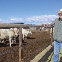 From the Fields: Jerry Maltby, Colusa County rancher, feedlot operator and rice farmer