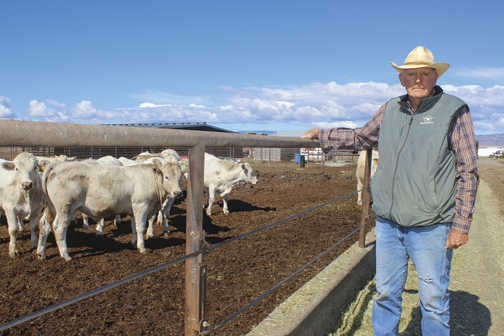 From the Fields: Jerry Maltby, Colusa County rancher, feedlot operator and rice farmer