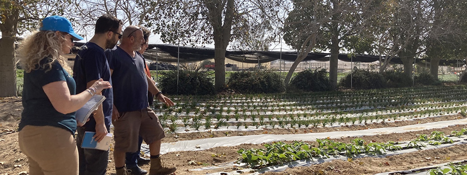 USDA seeks to ease organic certification process, costs
