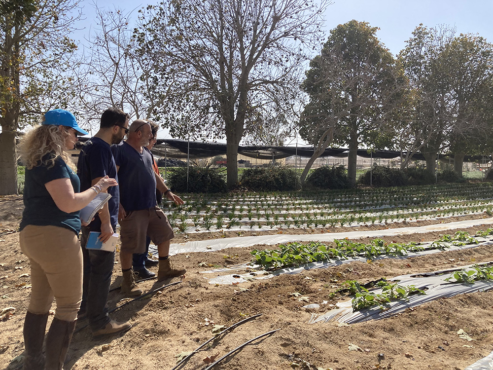 USDA seeks to ease organic certification process, costs