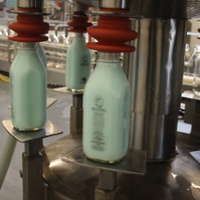 Dairy farmers to vote on changes to state milk quota