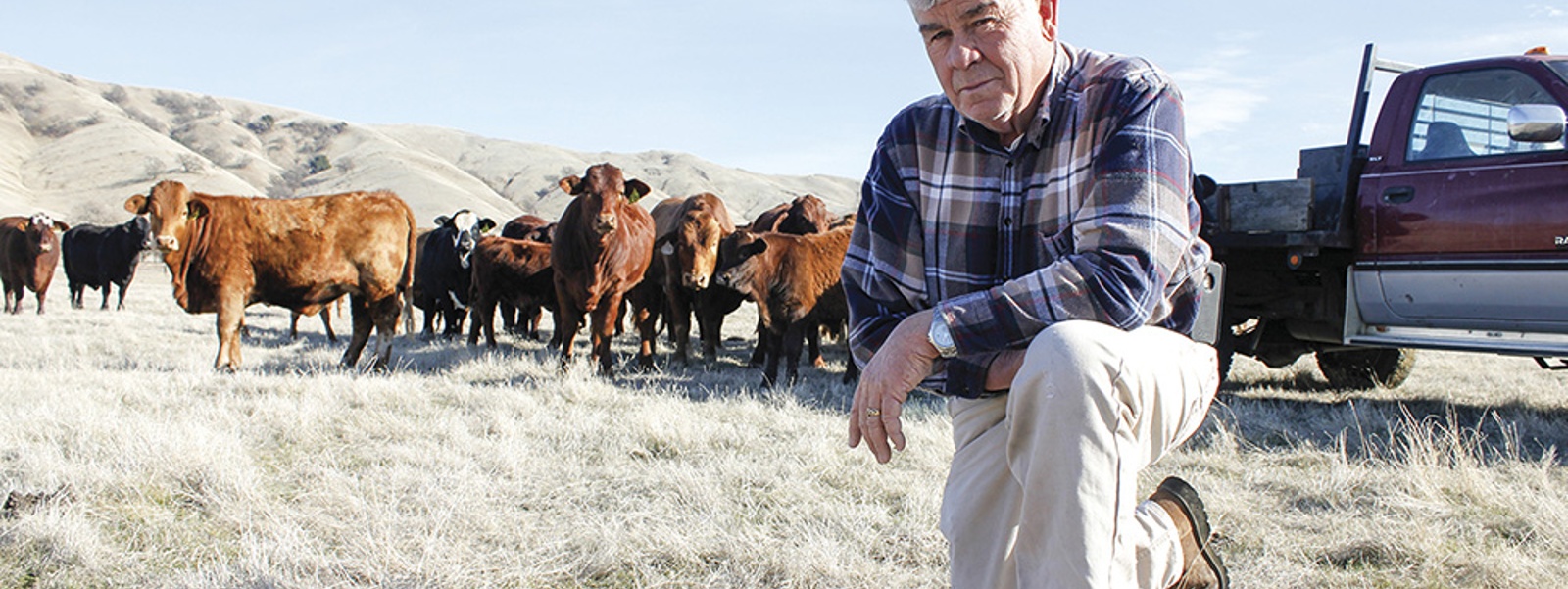 From the Fields: John Pierson, Solano County rancher