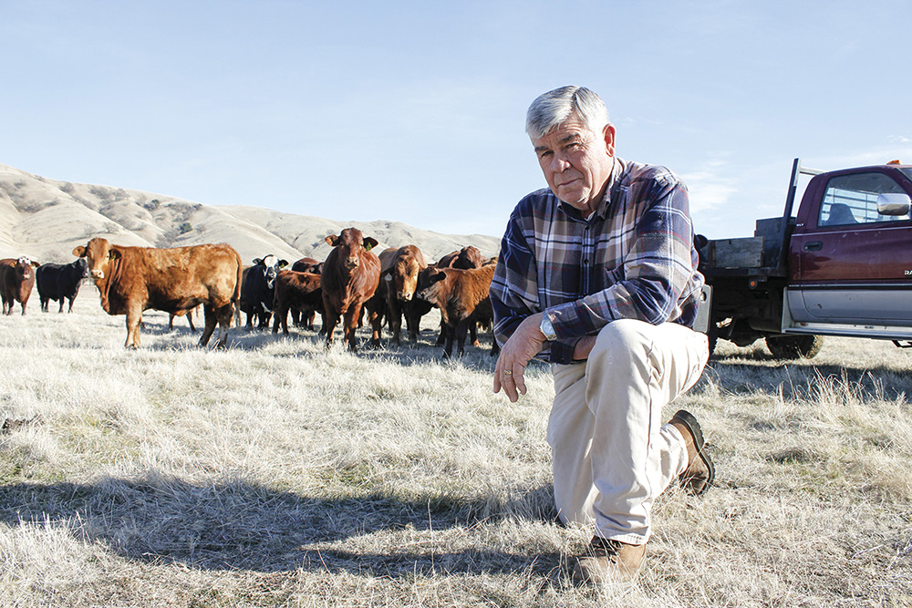From the Fields: John Pierson, Solano County rancher