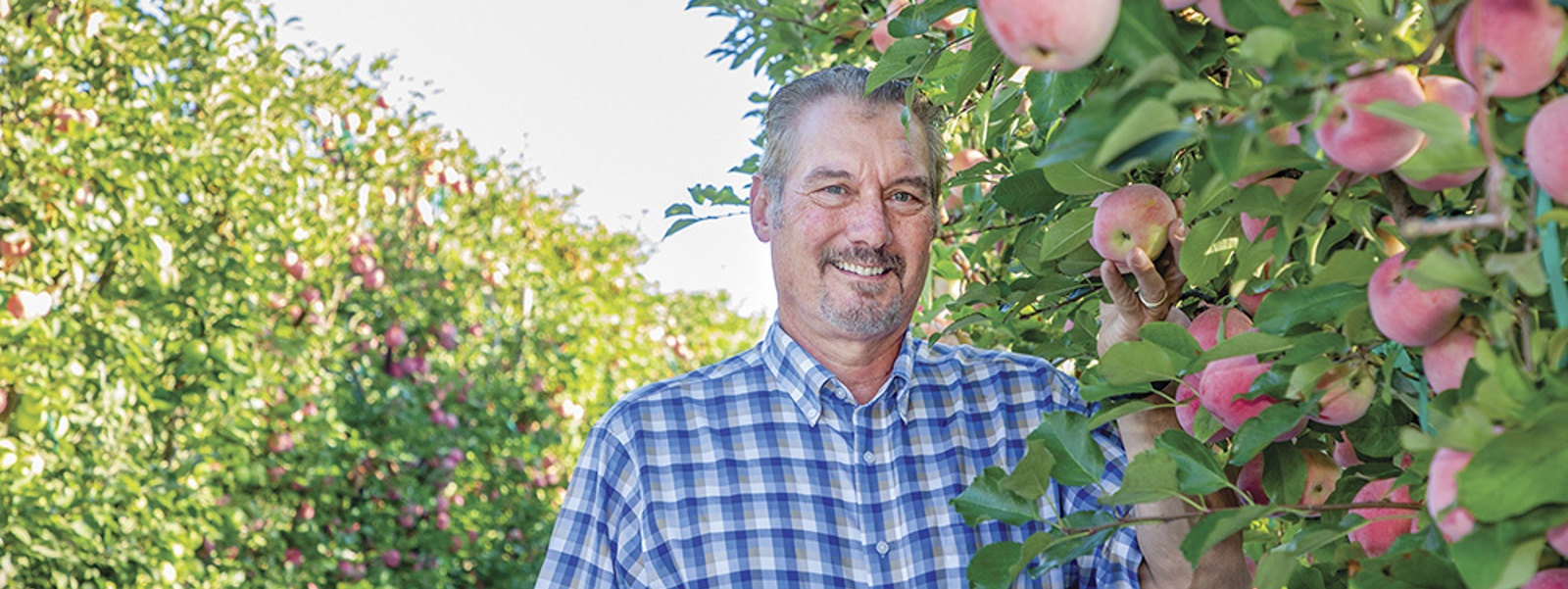 From the Fields: Jeff Colombini, San Joaquin County cherry and apple grower
