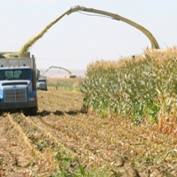 California drops 'Clean Fleets' ban on diesel trucks