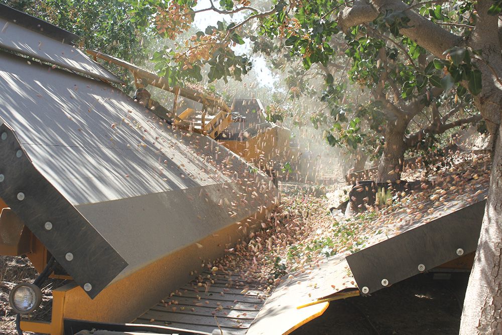 Ingredient market increases demand for pistachios