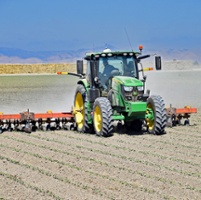 Slow market for cotton leads to drop in planted acres